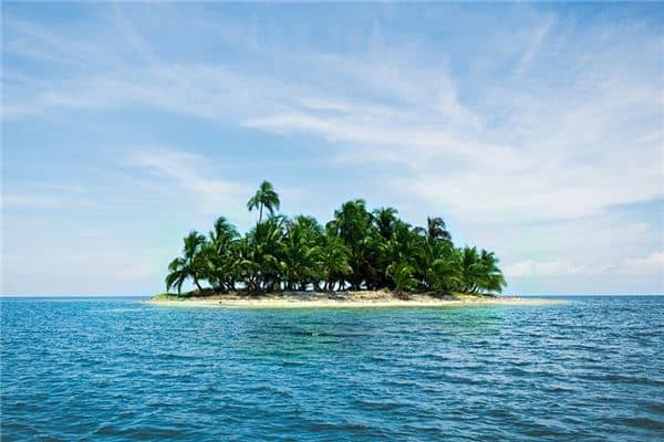 梦见棕树是什么意思 梦见棕树是什么意思