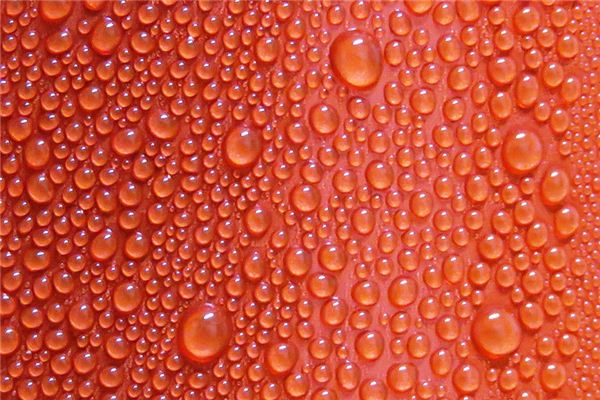 梦见水泡是什么意思 梦见水泡是什么意思