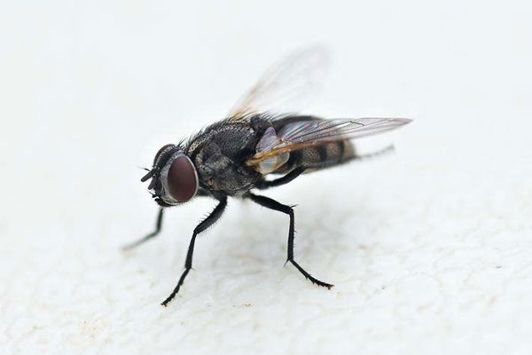 1582600204119392.jpg 2.jpg