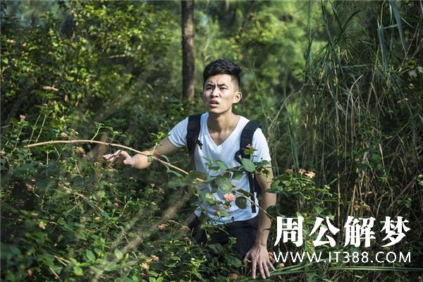 梦见自己迷路是什么意思 梦见自己迷路是什么意思