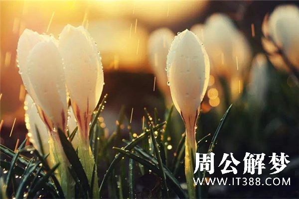 梦见死人尸体是什么意思 梦见死人尸体是什么意思