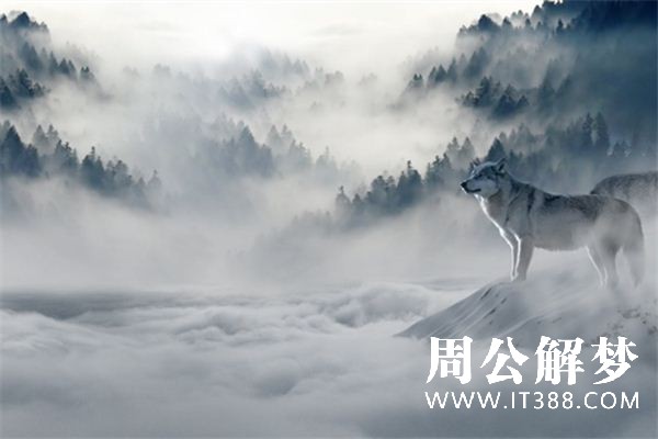 梦见狼是什么意思 梦见狼是什么意思