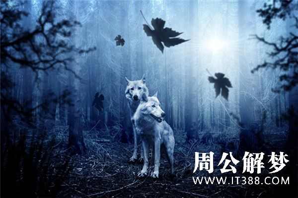 梦见被狼追是什么意思 梦见被狼追是什么意思