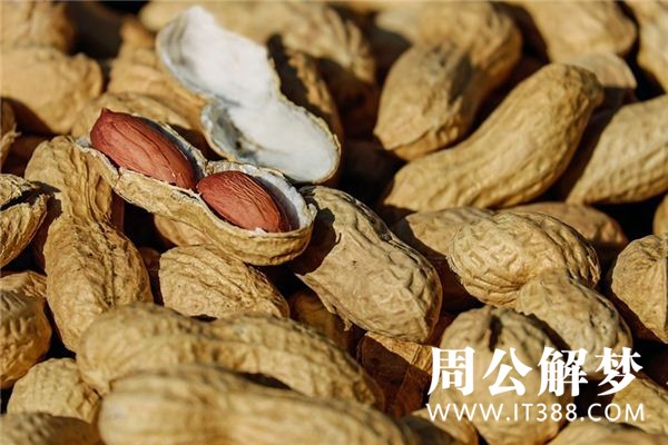 孕妇梦见吃花生 孕妇梦见吃花生