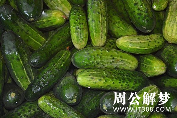 孕妇梦见黄瓜 孕妇梦见黄瓜