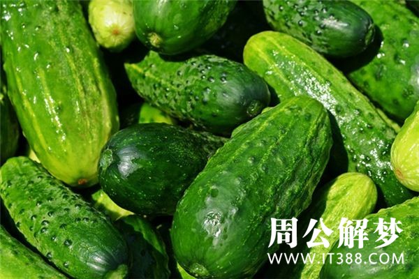 孕妇梦见吃黄瓜 孕妇梦见吃黄瓜