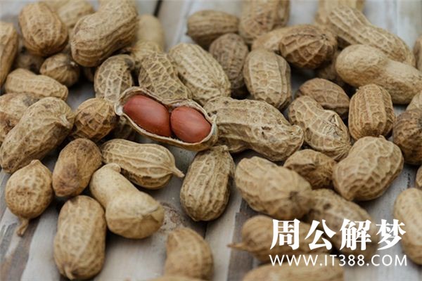 孕妇梦见花生 孕妇梦见花生