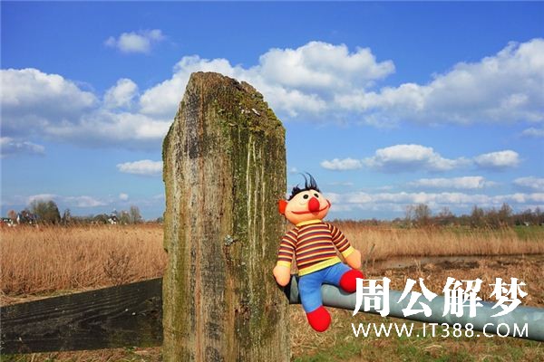 梦见布娃娃是什么意思 梦见布娃娃是什么意思