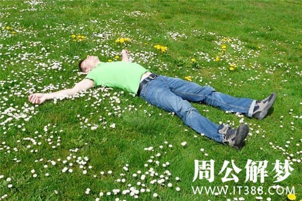 梦见开车撞死人 梦见开车撞死人