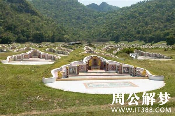 梦见坟墓上长出了树