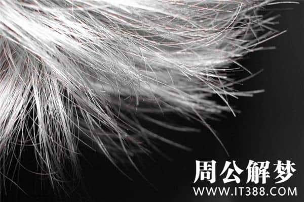 梦见洗头掉头发是什么意思