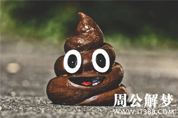 周公解梦 梦见屎