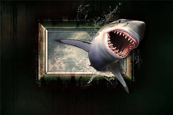 梦见鲨鱼是什么意思 梦见鲨鱼是什么意思