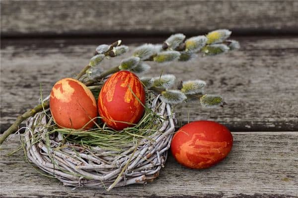 梦见鸡蛋是什么意思 梦见鸡蛋是什么意思