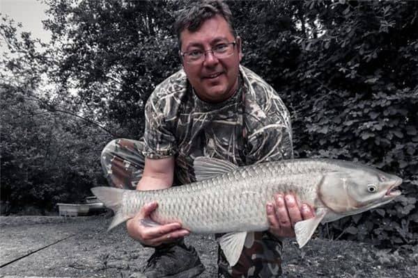 梦见草鱼是什么意思 梦见草鱼是什么意思