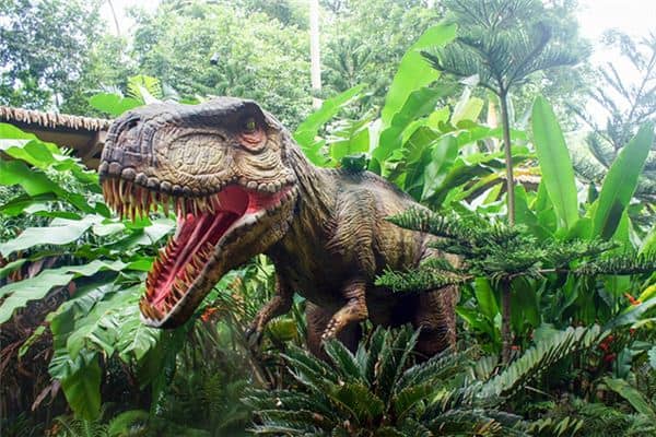 梦见巨大动物是什么意思 梦见巨大动物是什么意思