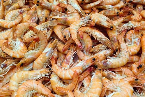 梦见虾米是什么意思 梦见虾米是什么意思