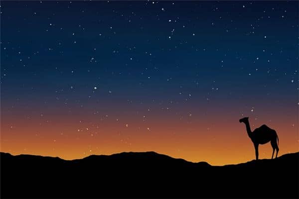 梦见单峰骆驼是什么意思 梦见单峰骆驼是什么意思