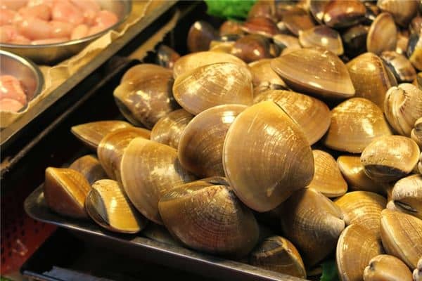 梦见蛤蜊是什么意思 梦见蛤蜊是什么意思