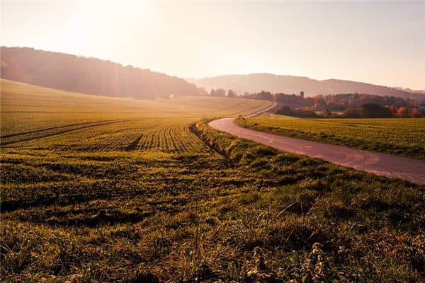 梦见遁地是什么意思 梦见遁地是什么意思