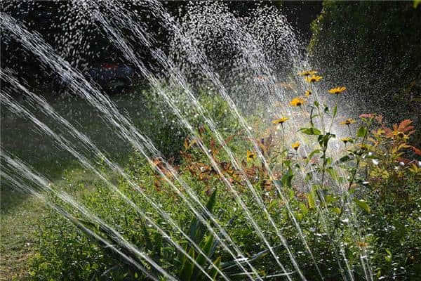 梦见灌溉是什么意思 梦见灌溉是什么意思