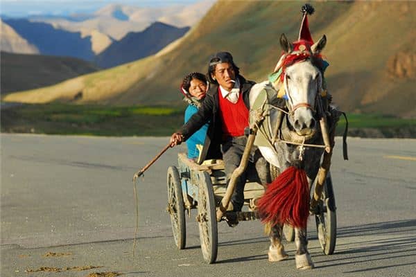 梦见拉车是什么意思 梦见拉车是什么意思