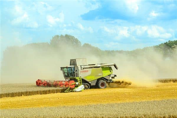 梦见收割是什么意思 梦见收割是什么意思