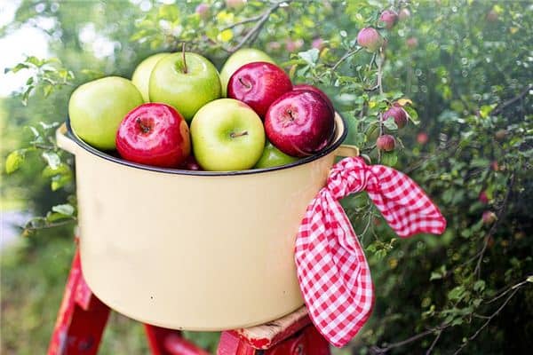 梦见摘苹果是什么预兆 梦见摘苹果是什么预兆