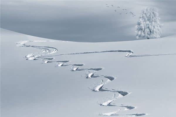 梦见跟踪是什么意思 梦见跟踪是什么意思