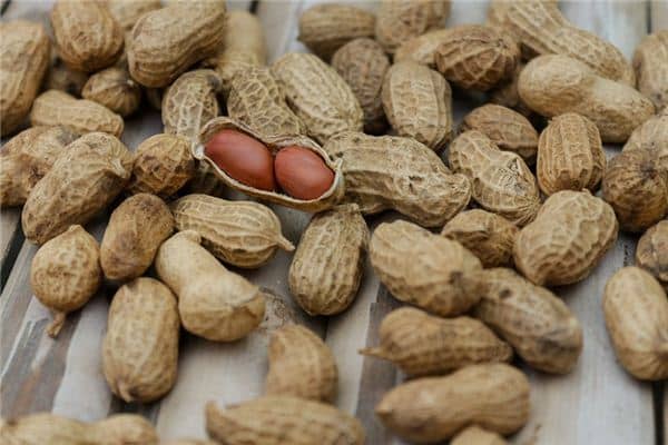 梦见摘花生是什么意思 梦见摘花生是什么意思