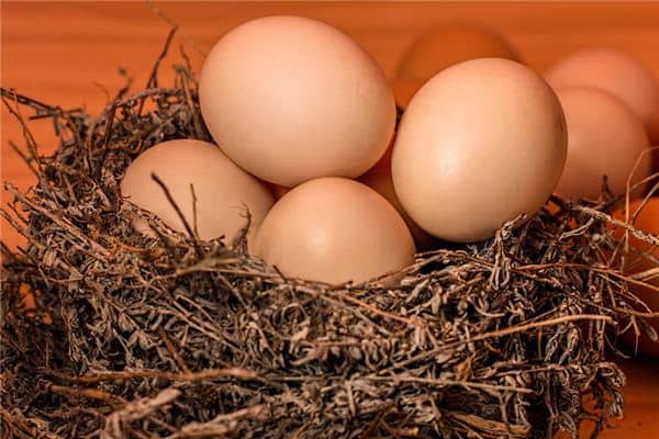 梦见捡鸡蛋是什么意思 梦见捡鸡蛋是什么意思