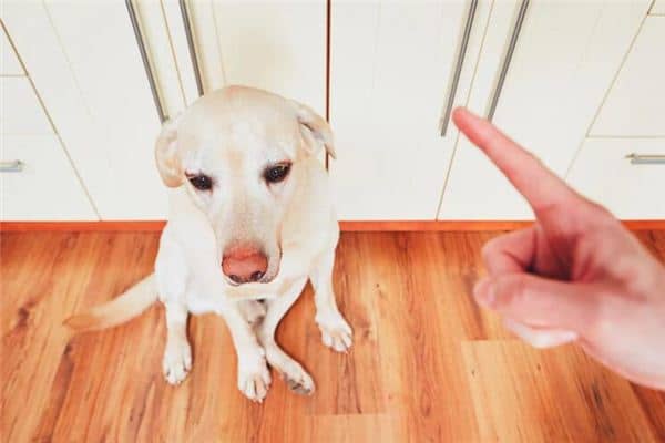 梦见体罚是什么意思 梦见体罚是什么意思