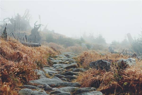 梦见走山路是什么意思