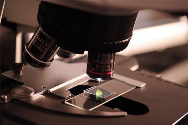 梦见实验室是什么意思 梦见实验室是什么意思