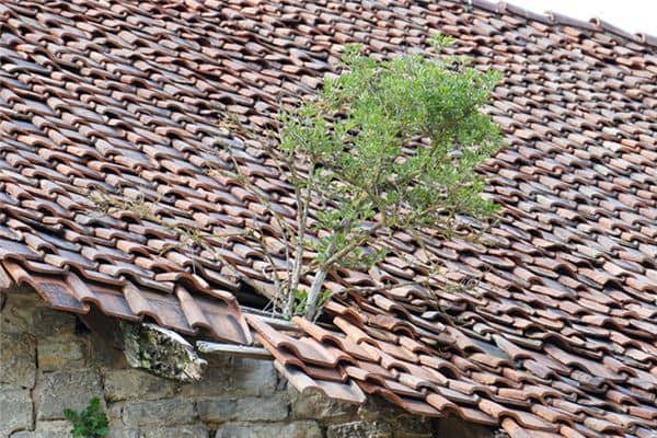 梦见屋顶破烂是什么意思 梦见屋顶破烂是什么意思