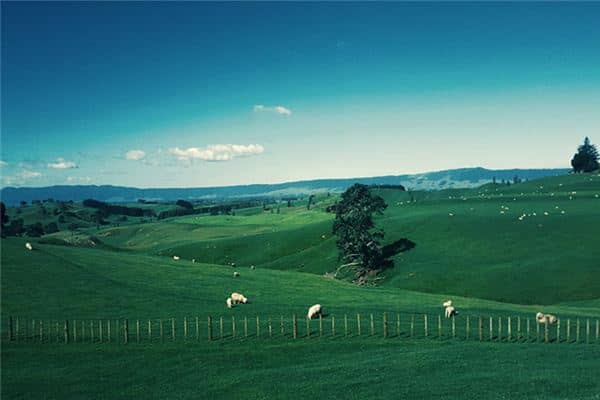 梦见牧场是什么意思 梦见牧场是什么意思