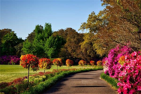 梦见庭院是什么意思 梦见庭院是什么意思