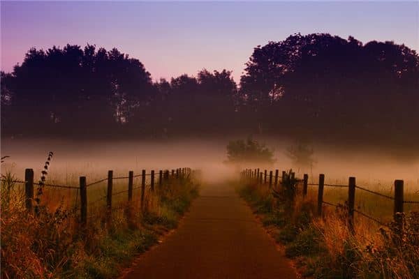 梦见篱笆是什么意思 梦见篱笆是什么意思