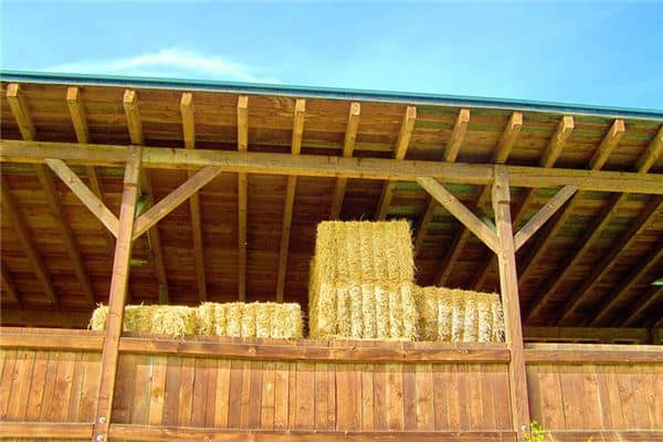 梦见贮藏室是什么意思 梦见贮藏室是什么意思