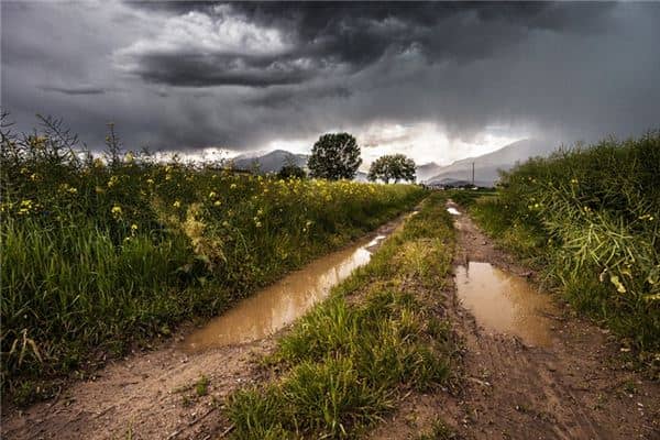 梦见泥泞路是什么意思 梦见泥泞路是什么意思