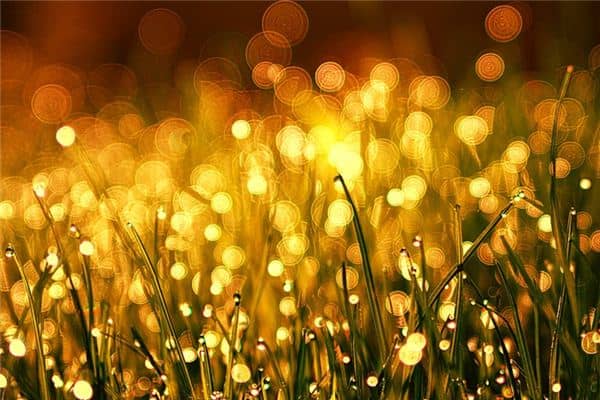 梦见模糊是什么意思 梦见模糊是什么意思