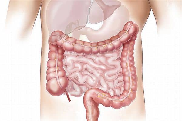 梦见割内脏是什么意思 梦见割内脏是什么意思