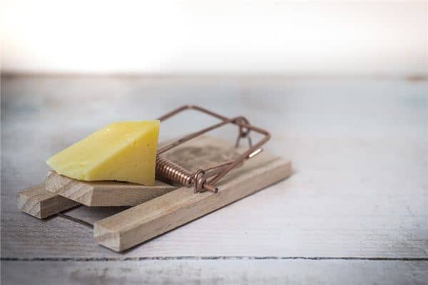 梦见陷阱是什么意思 梦见陷阱是什么意思