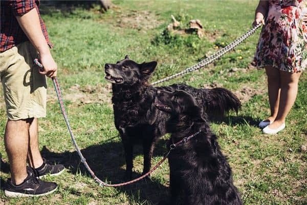 梦见命令是什么意思 梦见命令是什么意思