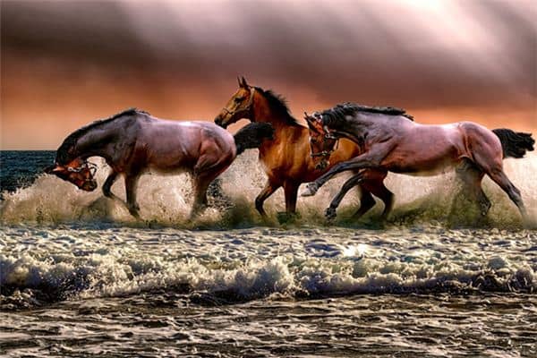 梦见套上笼头是什么意思 梦见套上笼头是什么意思