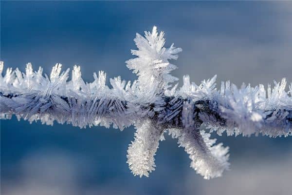 梦见霜降棉被是什么意思 梦见霜降棉被是什么意思