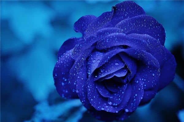 梦见蓝色是什么意思 梦见蓝色是什么意思