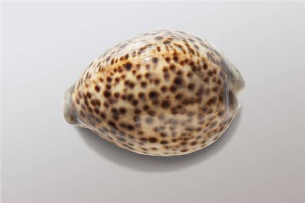 梦见媒介物是什么意思 梦见媒介物是什么意思