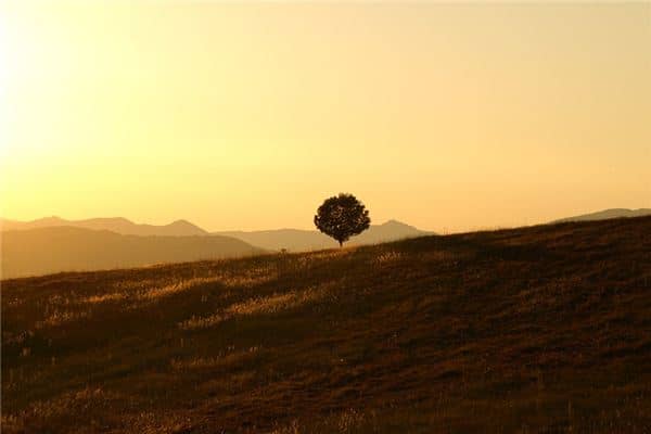 梦见平静是什么意思 梦见平静是什么意思