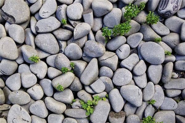 梦见灰色是什么意思 梦见灰色是什么意思